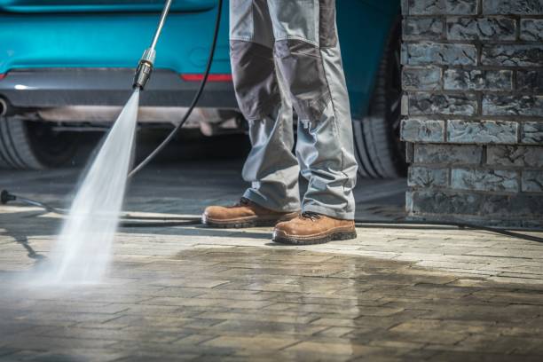 Best Winterizing Services  in Iola, WI