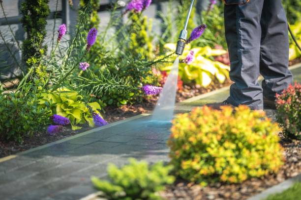 Best Machinery and Equipment Cleaning  in Iola, WI